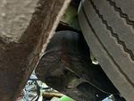 Trailer Chassis with 