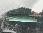 General Appearance with Second Serial Number/VIN Photo