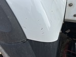 General Appearance with Paint