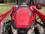 General Appearance with Paint