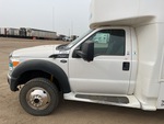 General Appearance with Paint
