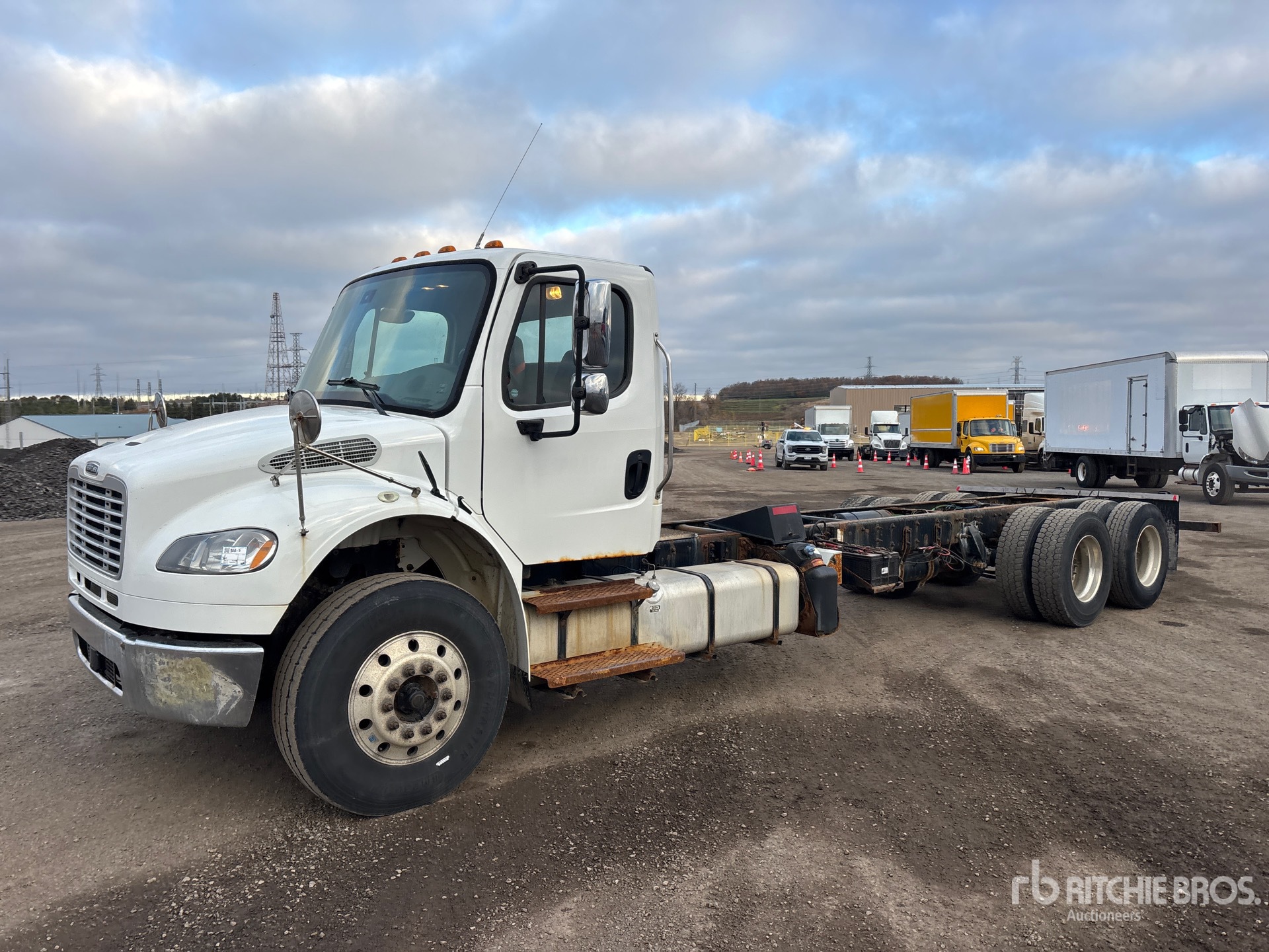 General Appearance with Spin