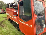 General Appearance with Paint