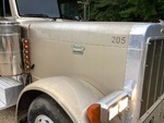 General Appearance with Pintura