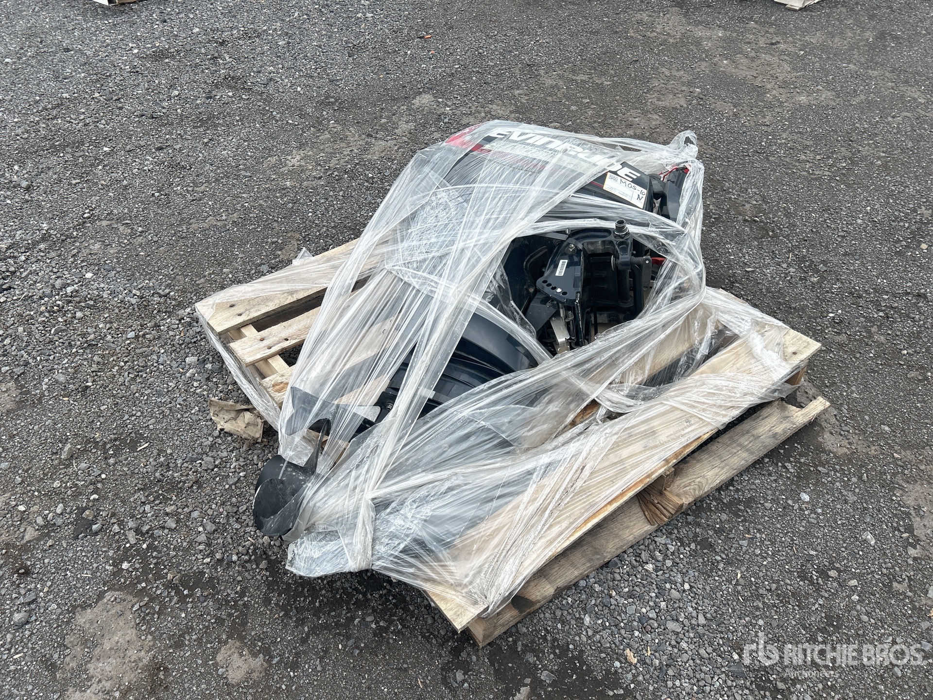 General Appearance with Featured Photo