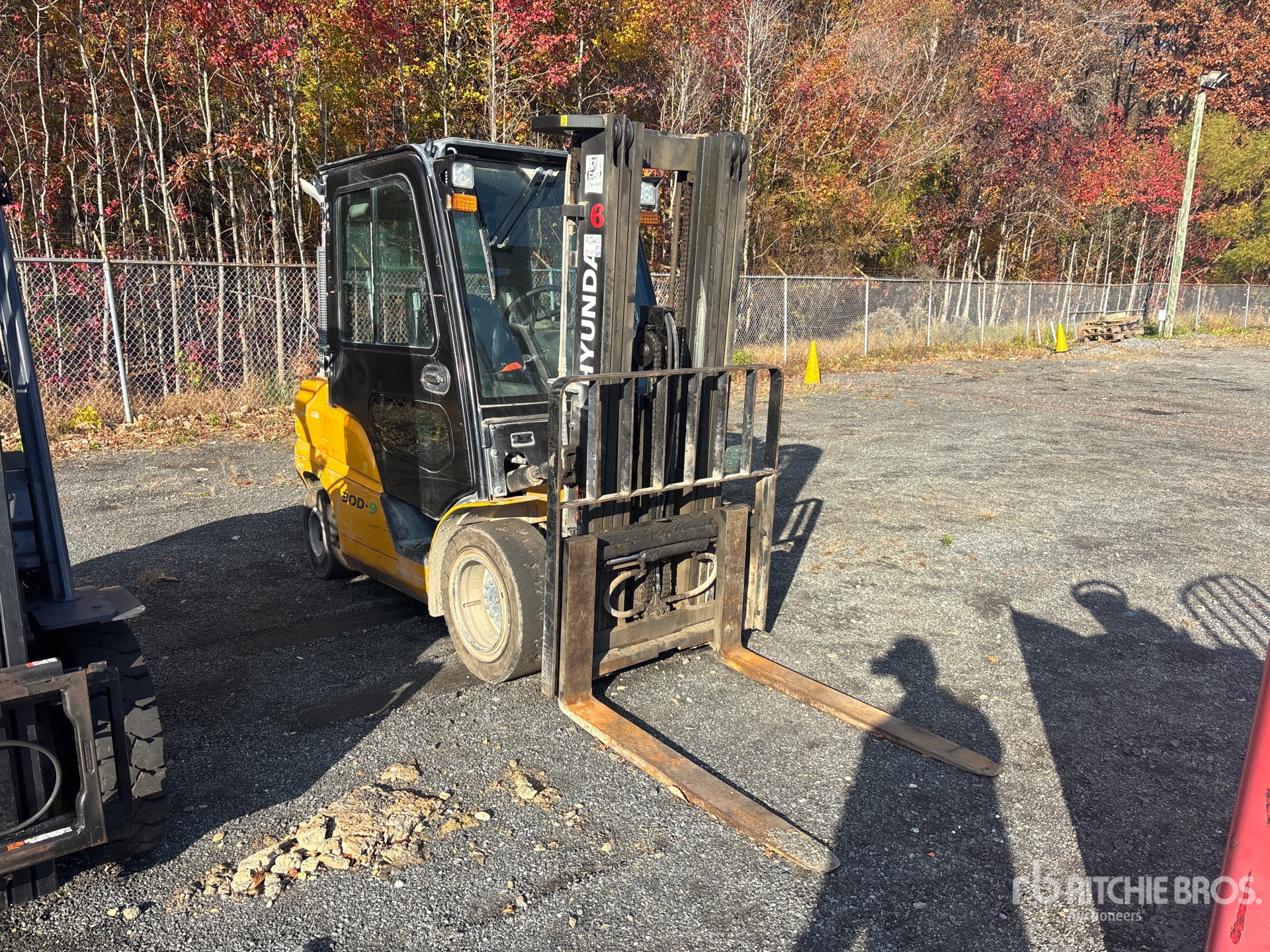 General Appearance with Bild, Ecke vorne rechts