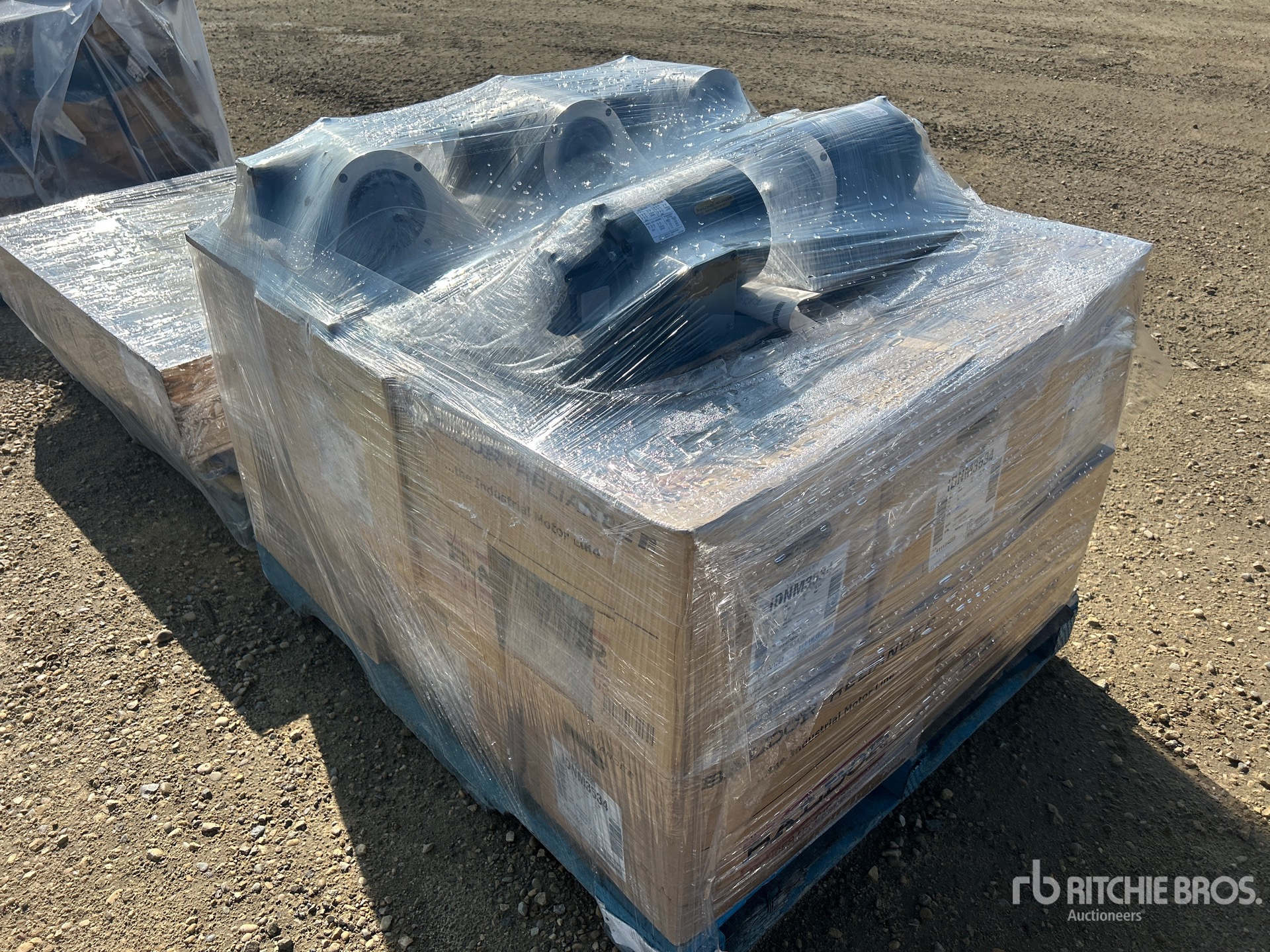 General Appearance with Foto, angolo posteriore sinistro