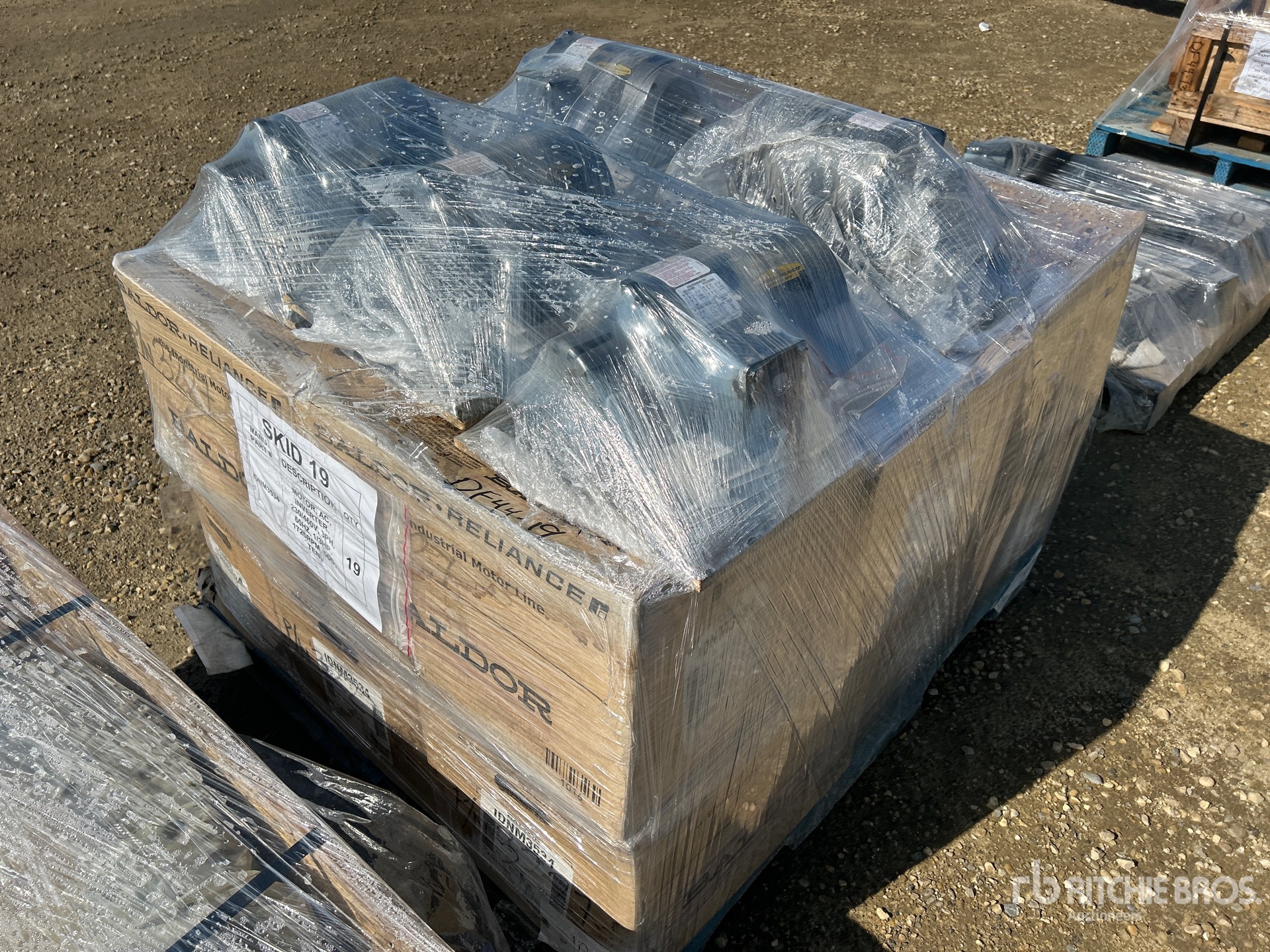 General Appearance with Foto, angolo anteriore sinistro