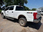 Picture, Left Rear Corner