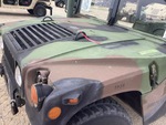 General Appearance with Paint
