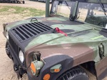 General Appearance with Paint