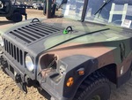 General Appearance with Paint
