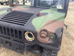 General Appearance with Paint
