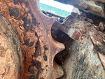 Undercarriage with 