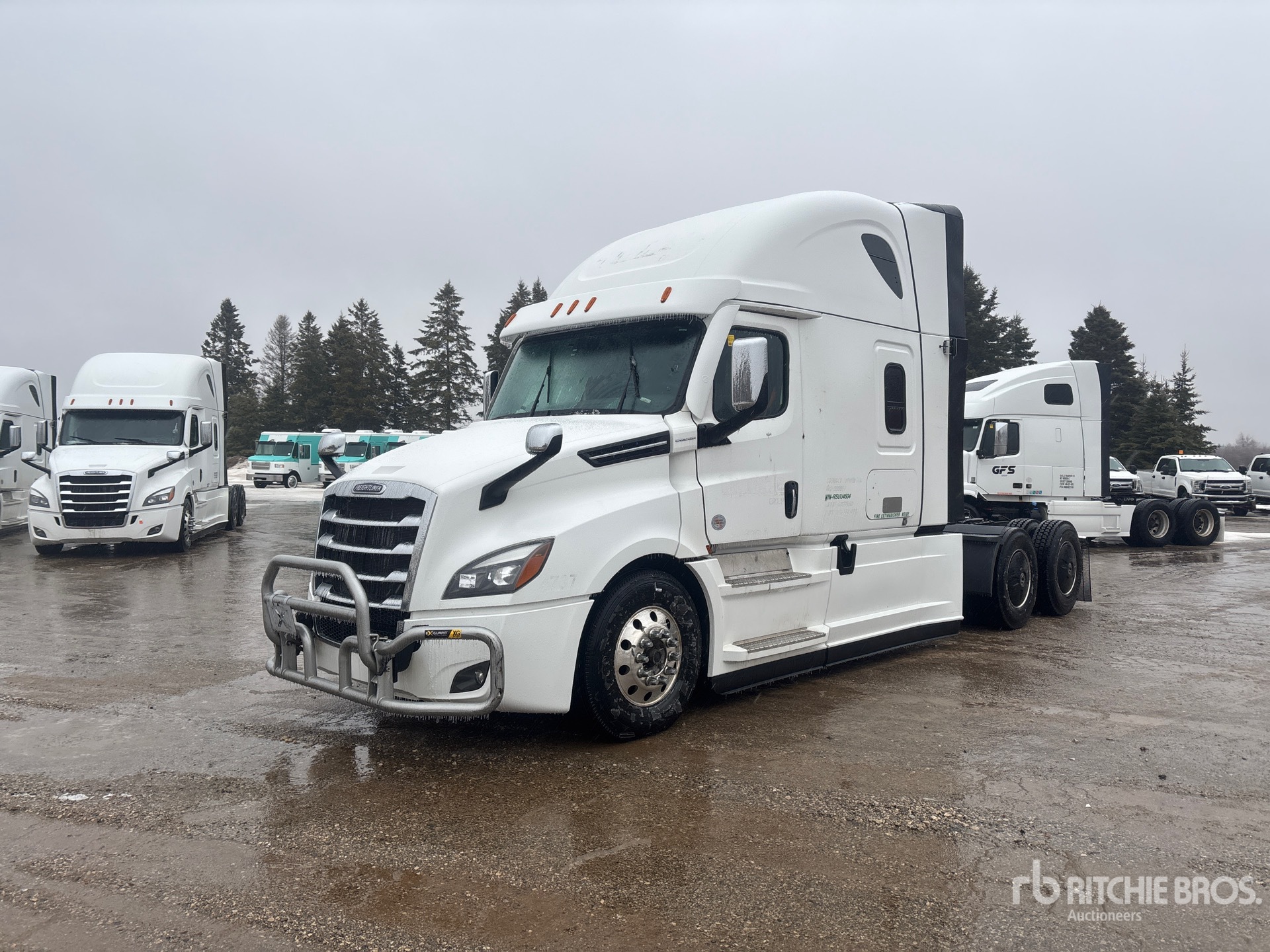 General Appearance with Spin