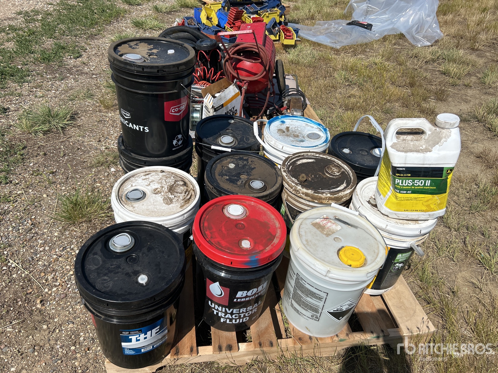 General Appearance with