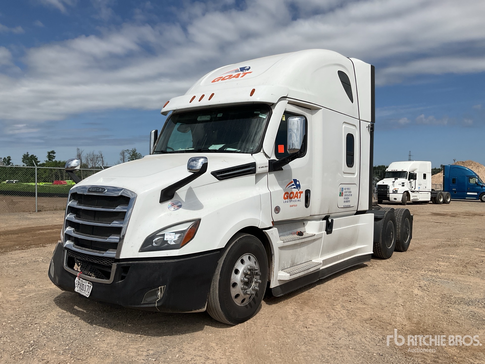 General Appearance with Spin