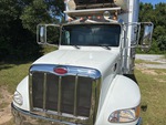 General Appearance with Paint