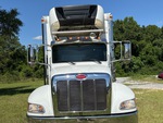 General Appearance with Exterior Lights