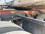 General Appearance with Paint