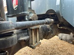 Chassis with Trasmissione dello sterzo