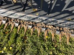 v2 Features - Swather Header with 