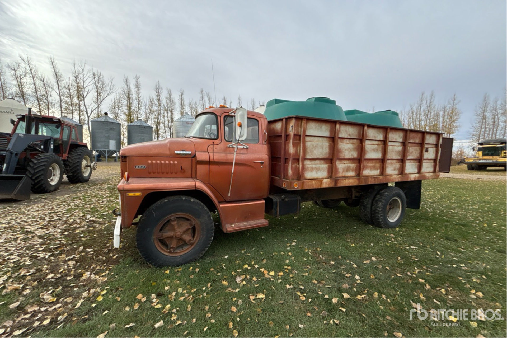 General Appearance with Zdjęcie, lewy górny róg