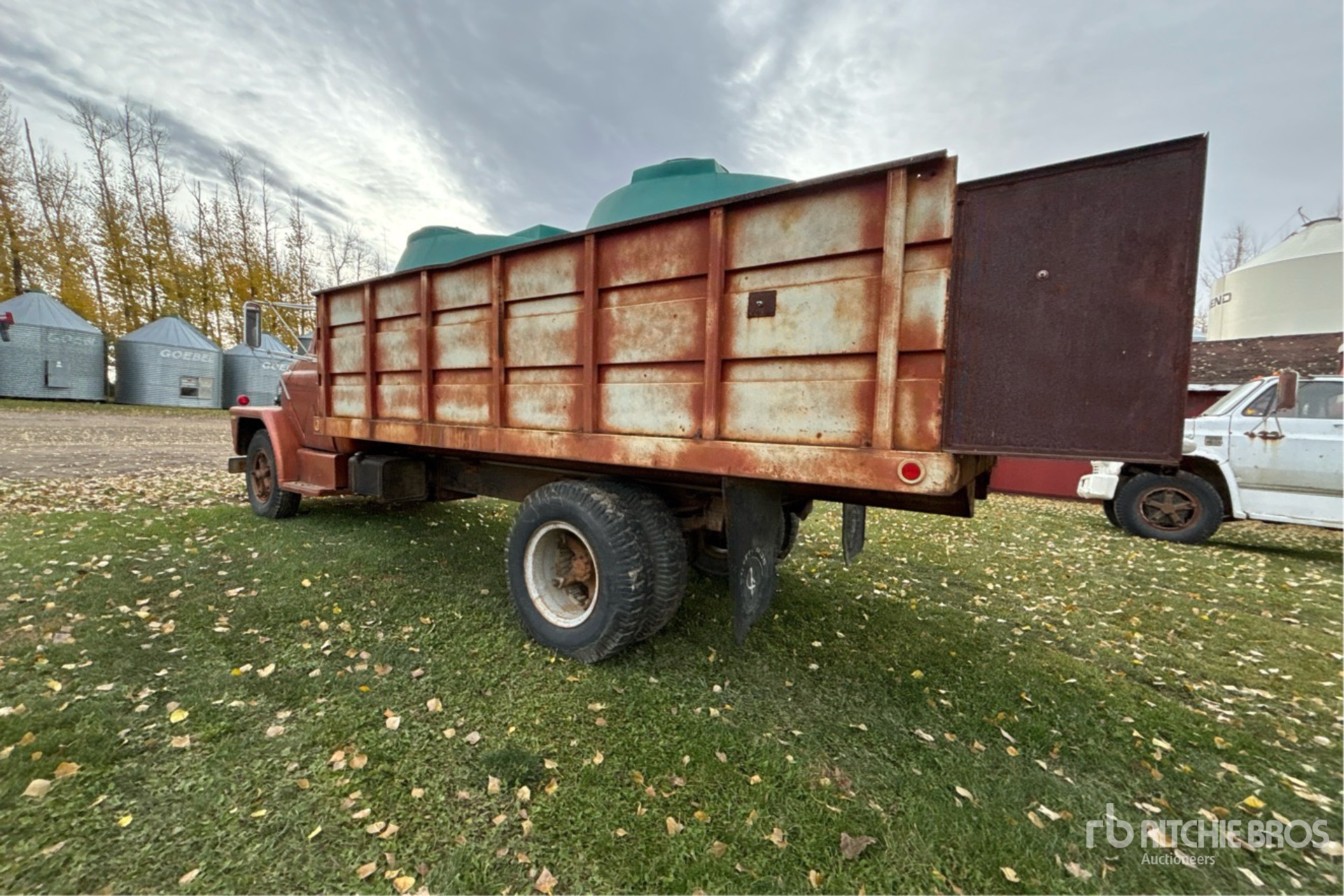 General Appearance with Zdjęcie, lewy dolny róg