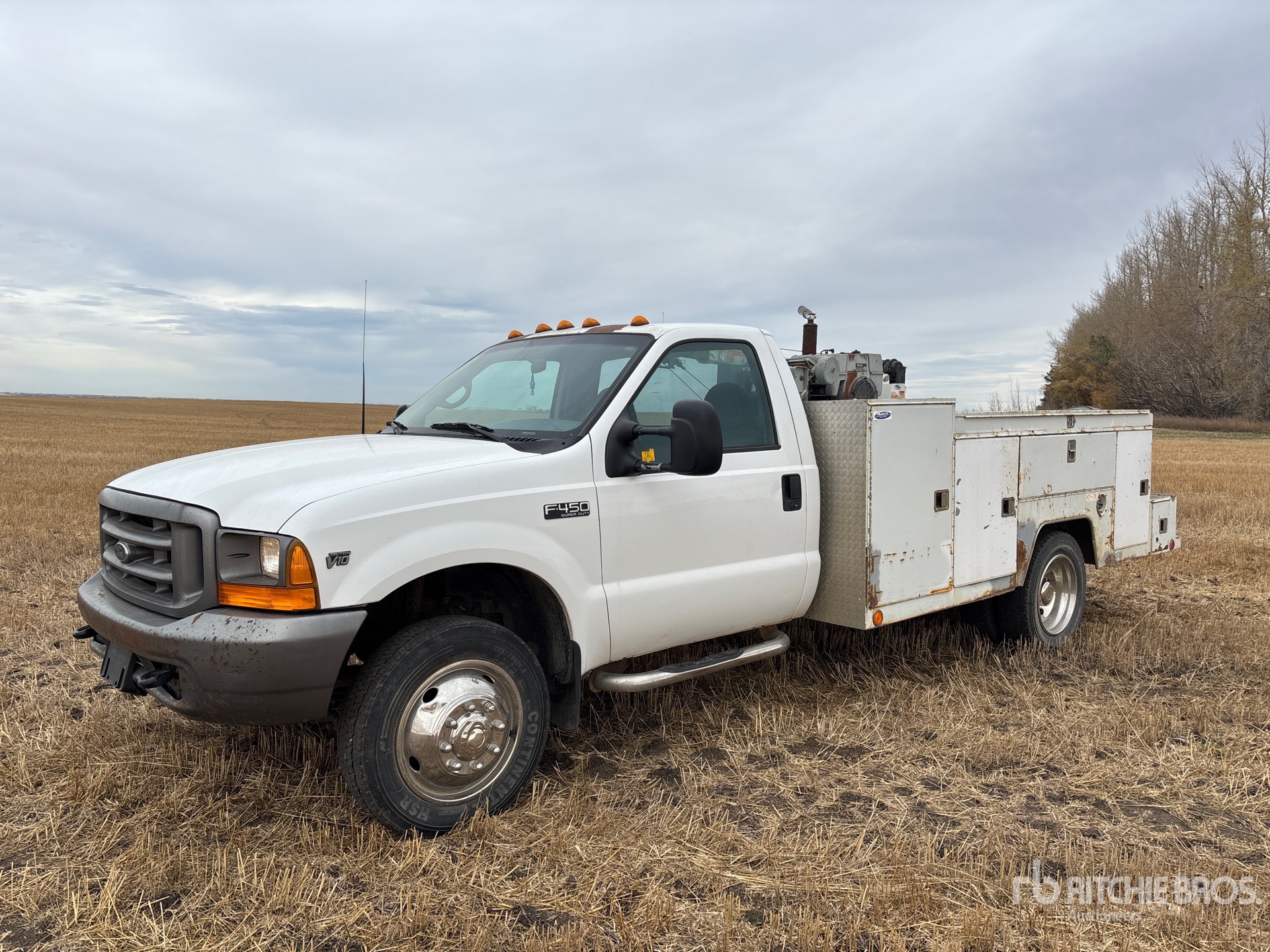 General Appearance with Spin