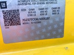 General Appearance with Numero seriale/numero d’identificazione del veicolo (VIN)