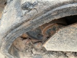 Undercarriage with 