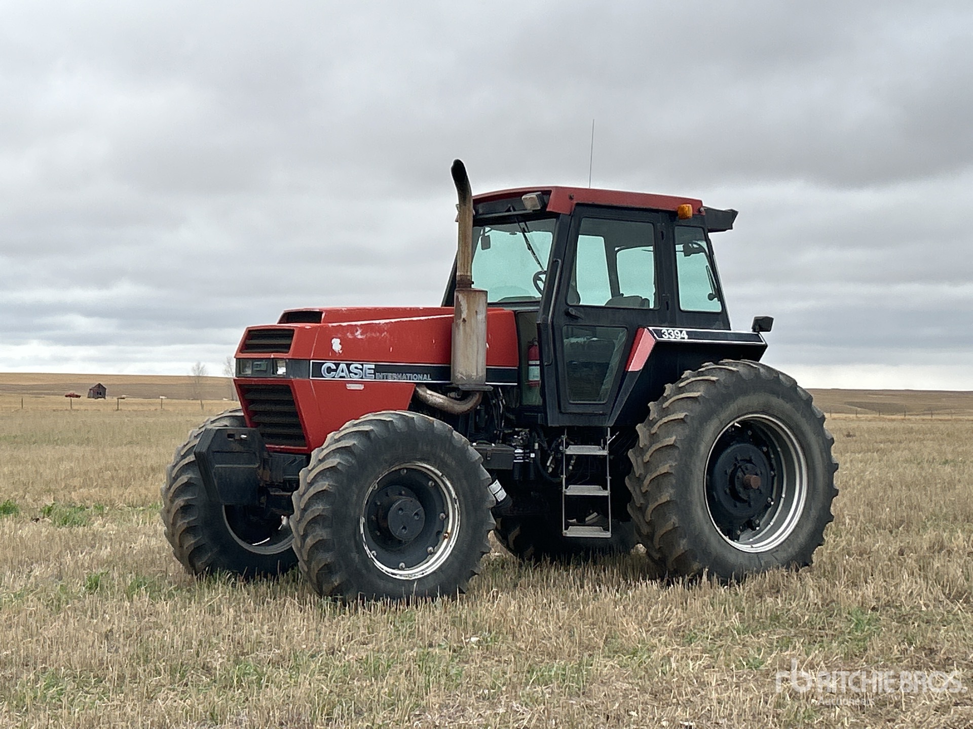 General Appearance with Spin