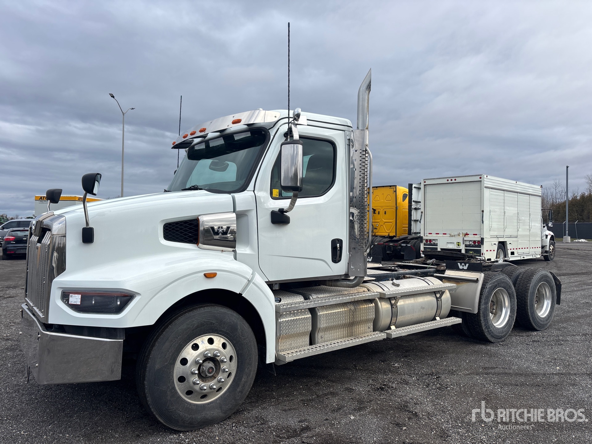 General Appearance with Spin