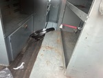 Chassis Photos with 