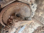 Undercarriage with 