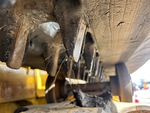 Undercarriage with 