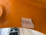 General Appearance with Numero seriale/numero d’identificazione del veicolo (VIN)
