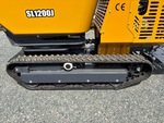 Undercarriage with 