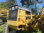 General Appearance with Paint