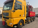 General Appearance with Paint