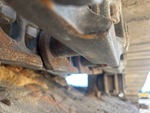 Undercarriage with 