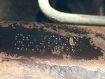 General Appearance with Second Serial Number/VIN Photo