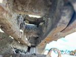Undercarriage with 