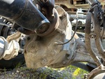 Drivetrain with 