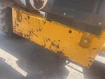 General Appearance with Paint