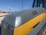General Appearance with Paint