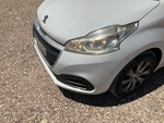 General Appearance with Paint