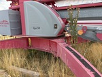 General Appearance with Paint