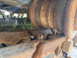 Undercarriage with 