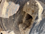 Undercarriage with 